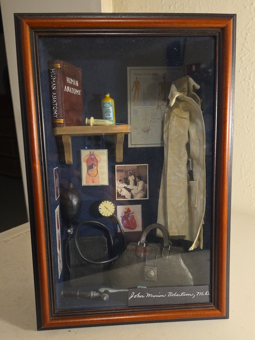 The Window Pane Curio Collection Medical Curio Shadow Box Brown & Black